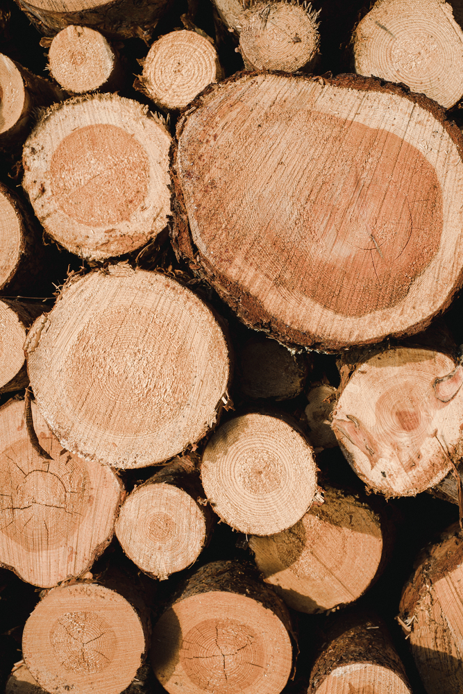 Tartak – Źródło Wyjątkowego Drewna: Buduj Z Zapałem i Odpornością.